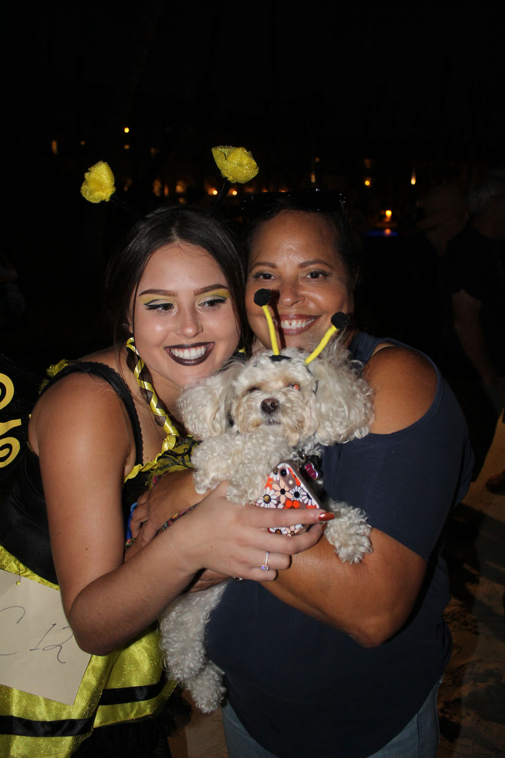 Pet Masquerade 2017 photo - Duval Street, Key West